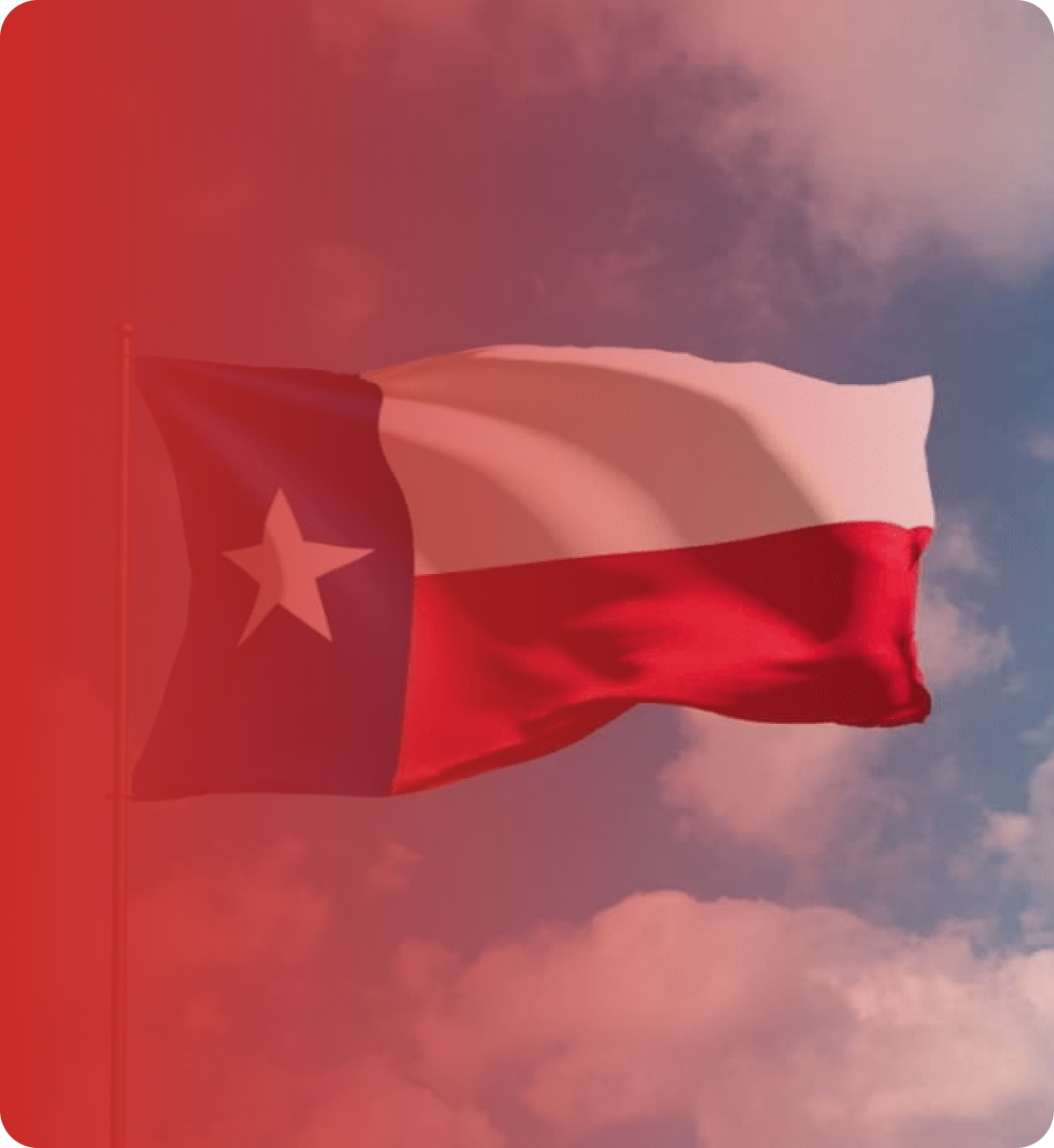 Texas Flag