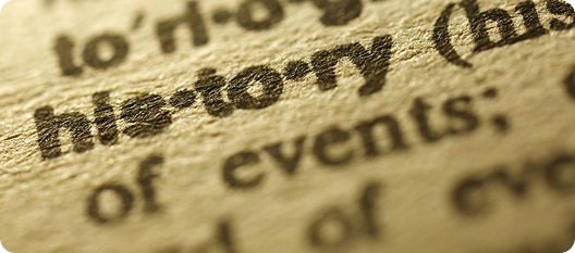 Company History